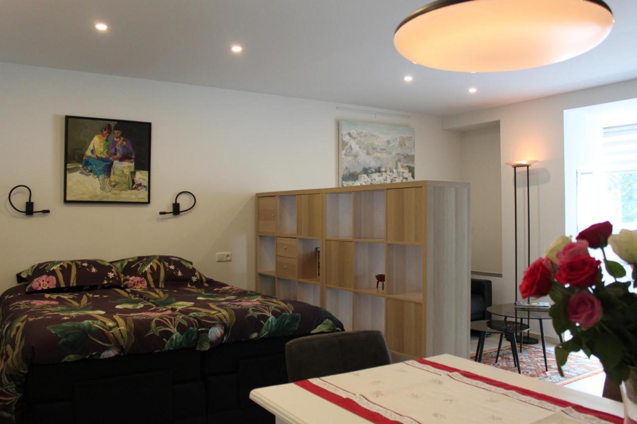Appartement Dersaborg Valkenburg aan de Geul المظهر الخارجي الصورة